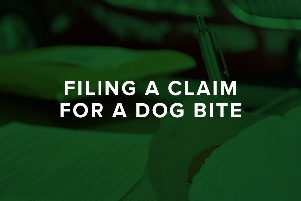 Filing a Claim for a Dog Bite